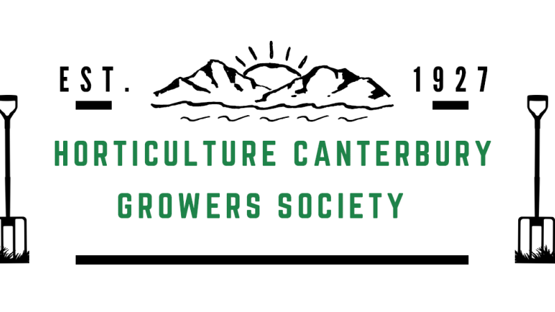 Cant grower ass