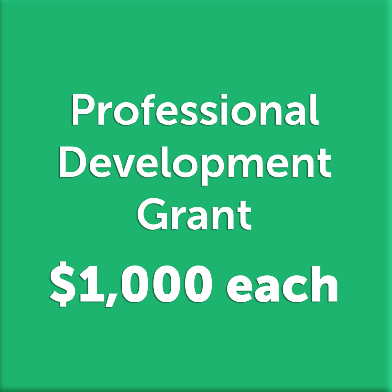 thumbnail Professional Development 1080x1080