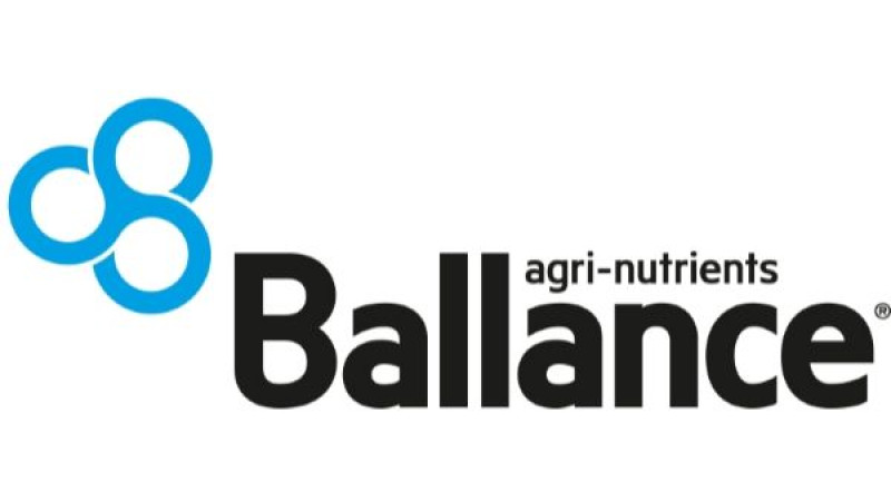 white Ballance Primary Black and Blue (002)
