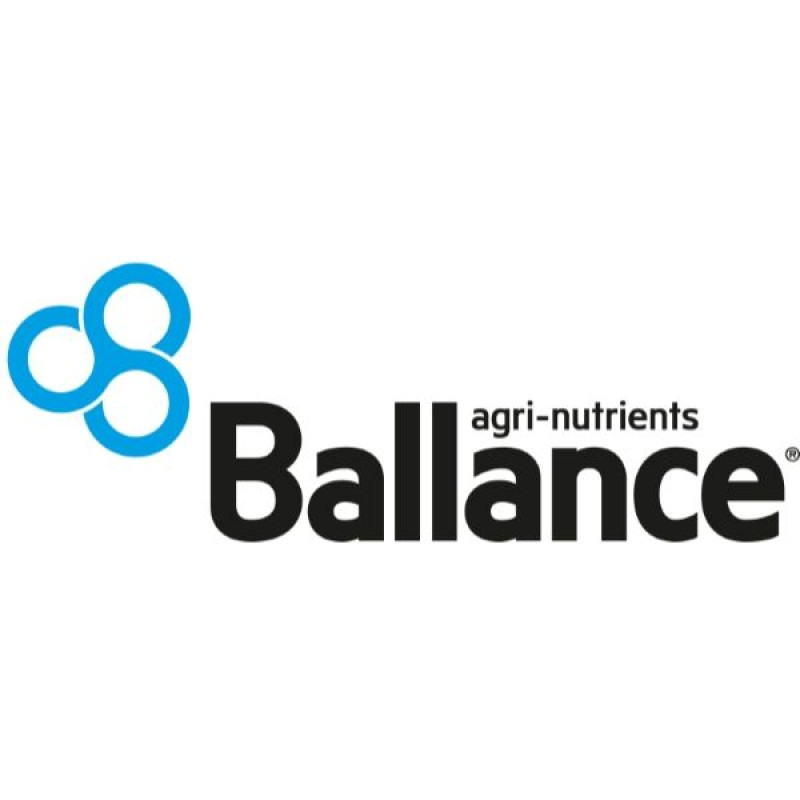 white Ballance Primary Black and Blue (002)
