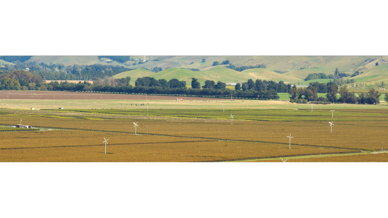 Untitled design (11)